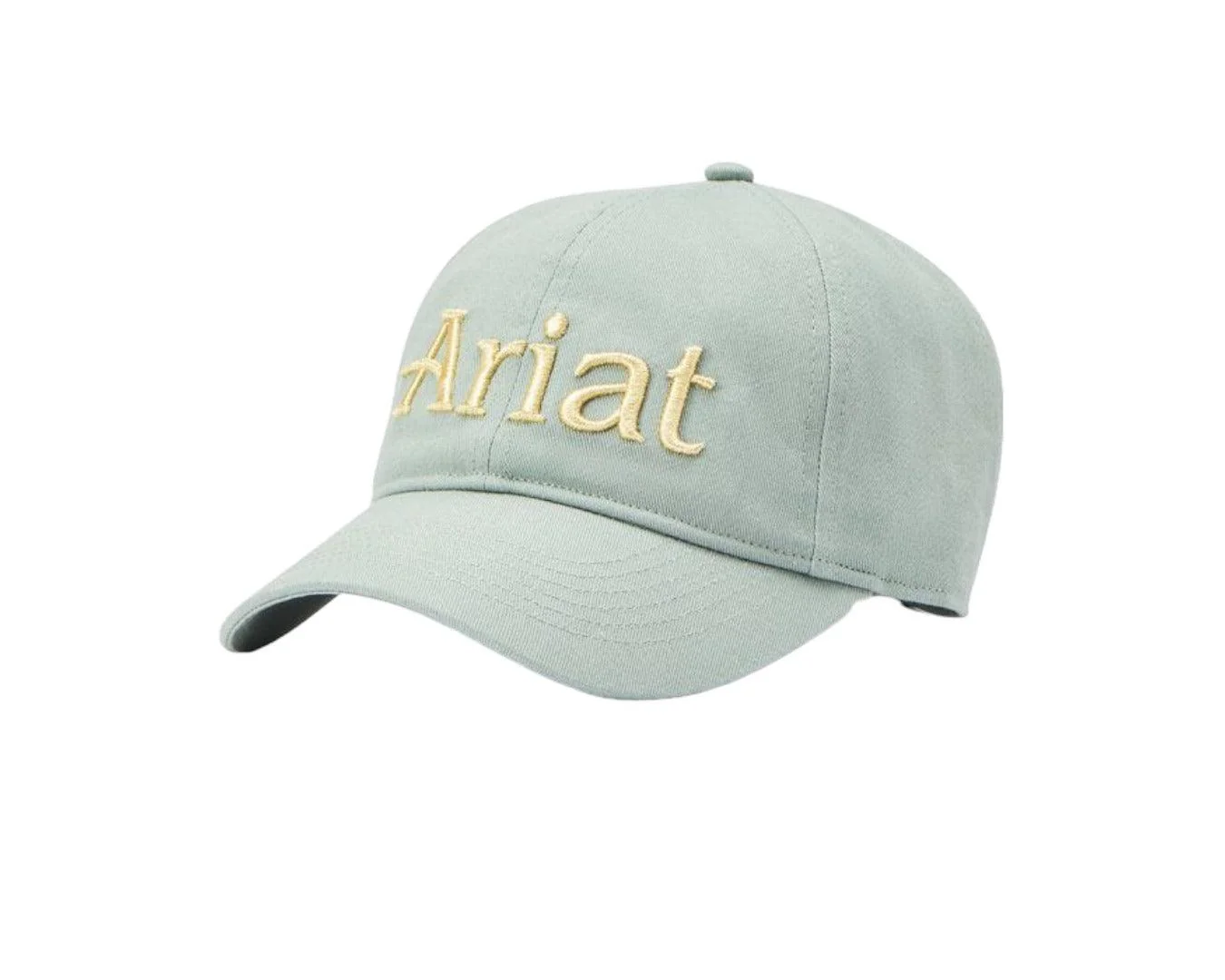 Ariat Hoyden Cap - Image 3