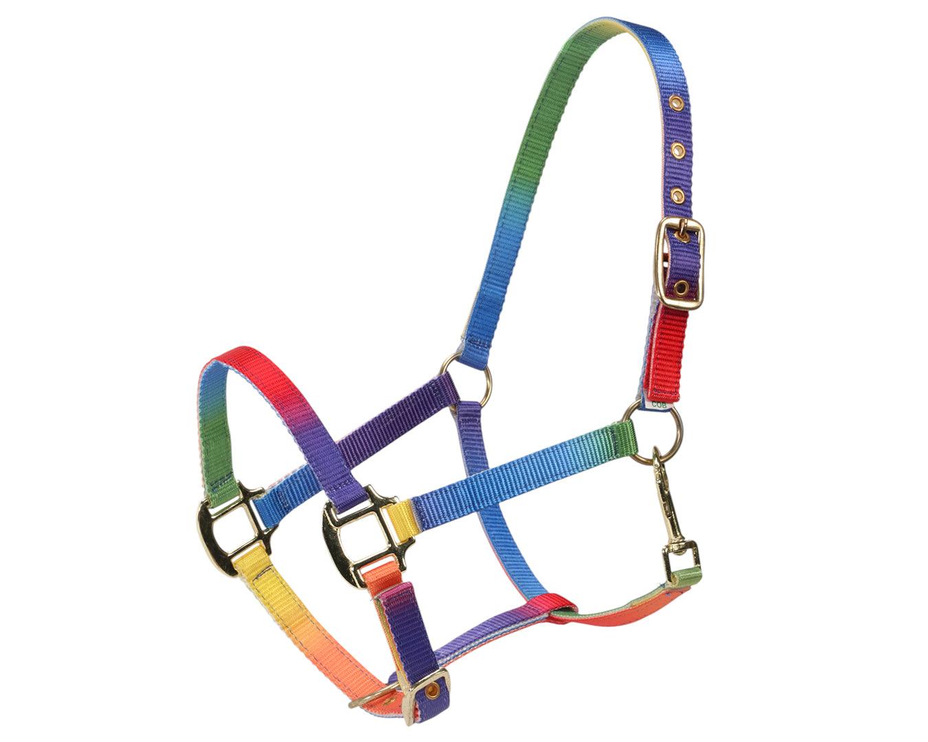 Bambino Rainbow Halter