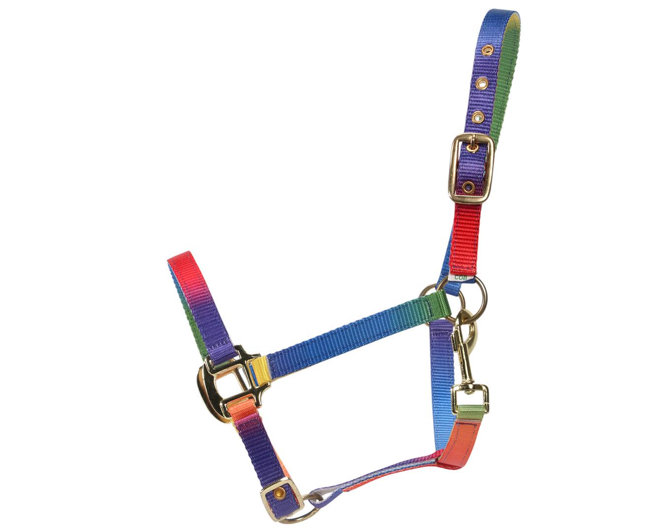 Bambino Rainbow Halter - Image 2