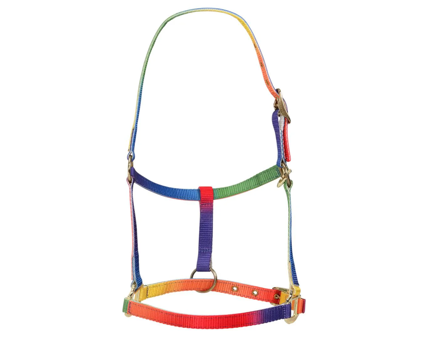 Bambino Rainbow Halter - Image 3