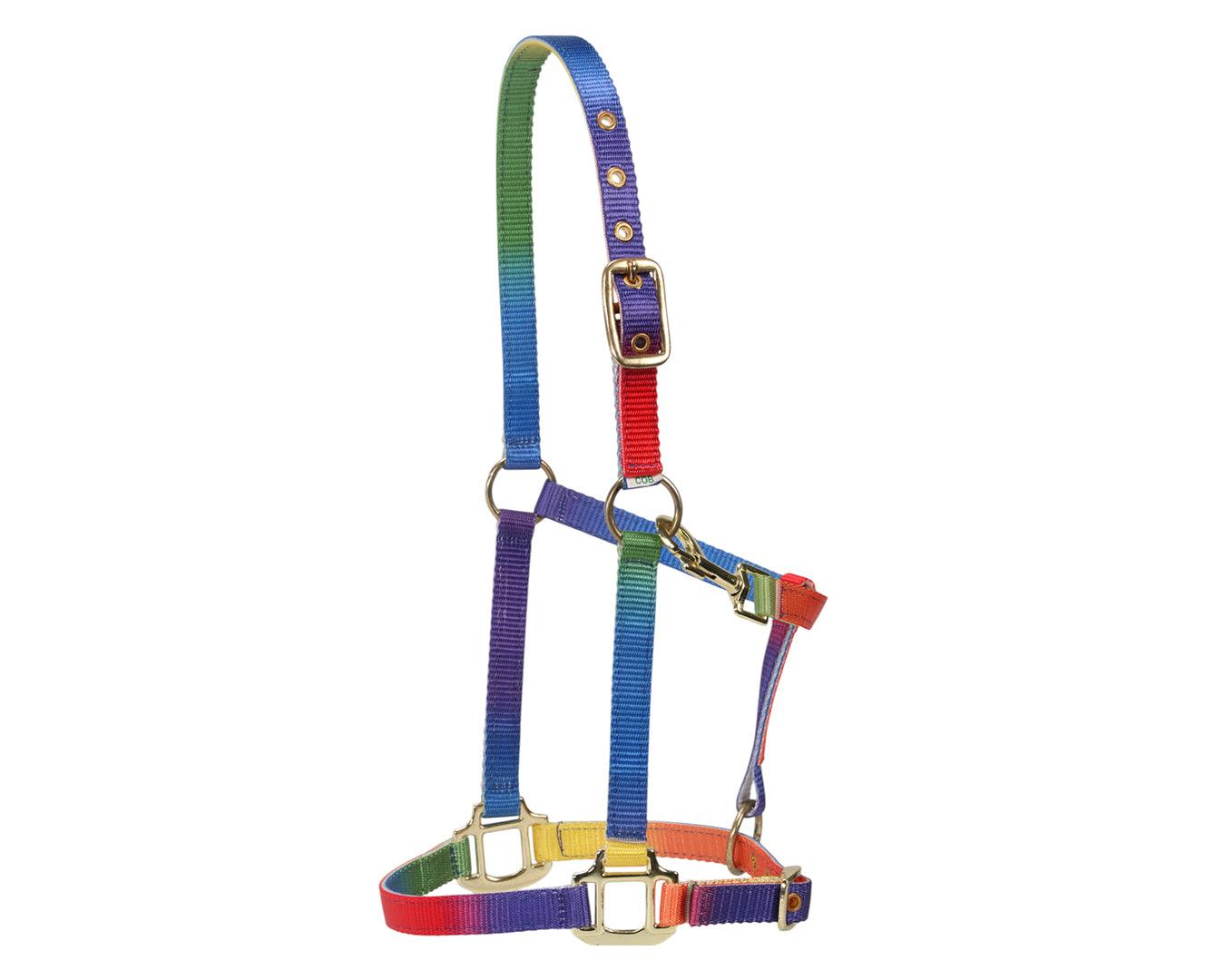 Bambino Rainbow Halter - Image 4