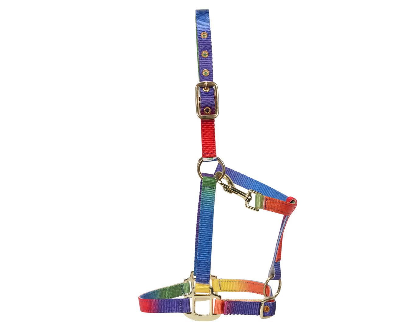 Bambino Rainbow Halter - Image 5