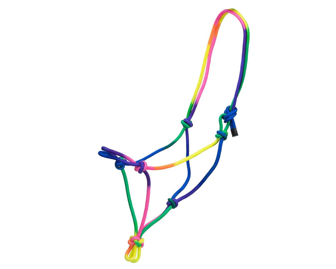 Bambino Rainbow Rope Halter