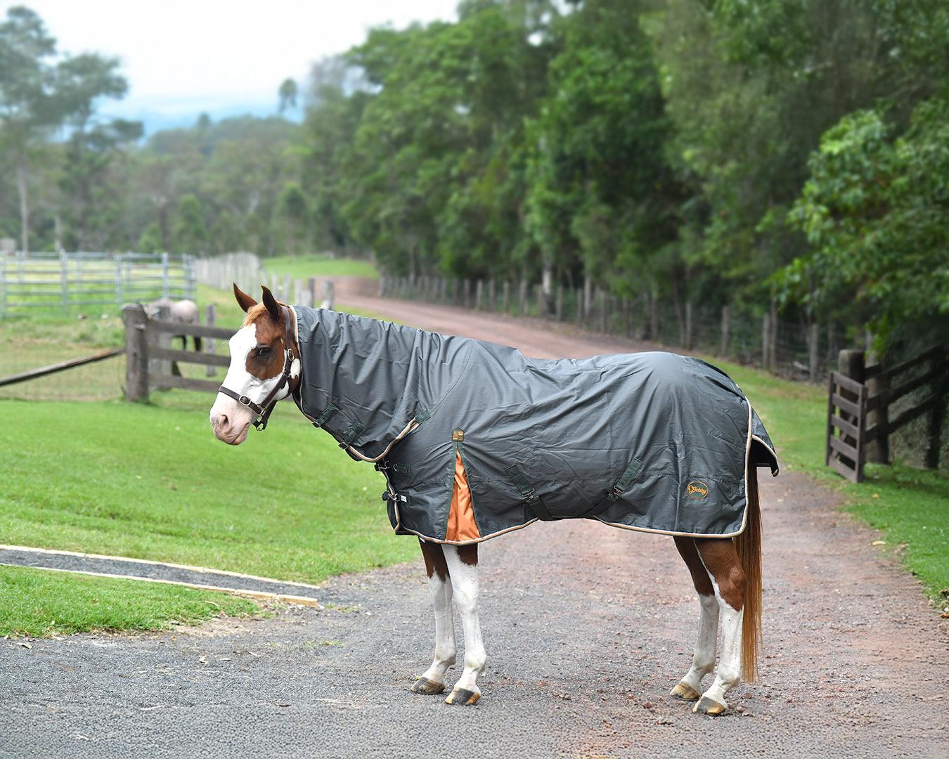 Bobby 600D Rainsheet Combo Rug - Dusk Green - Image 8