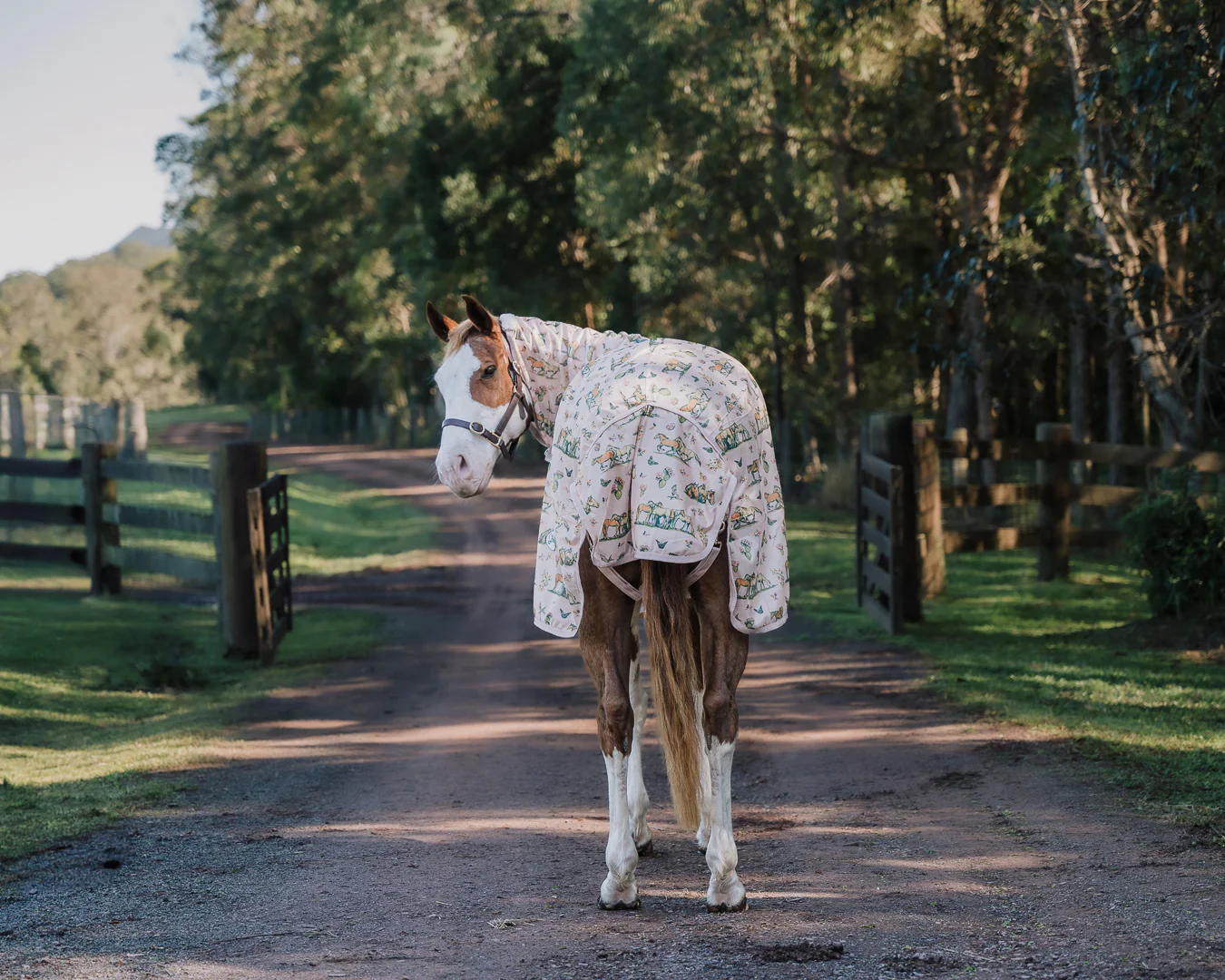 Bobby Fly Mesh Printed Combo - Wild Horses - Image 3