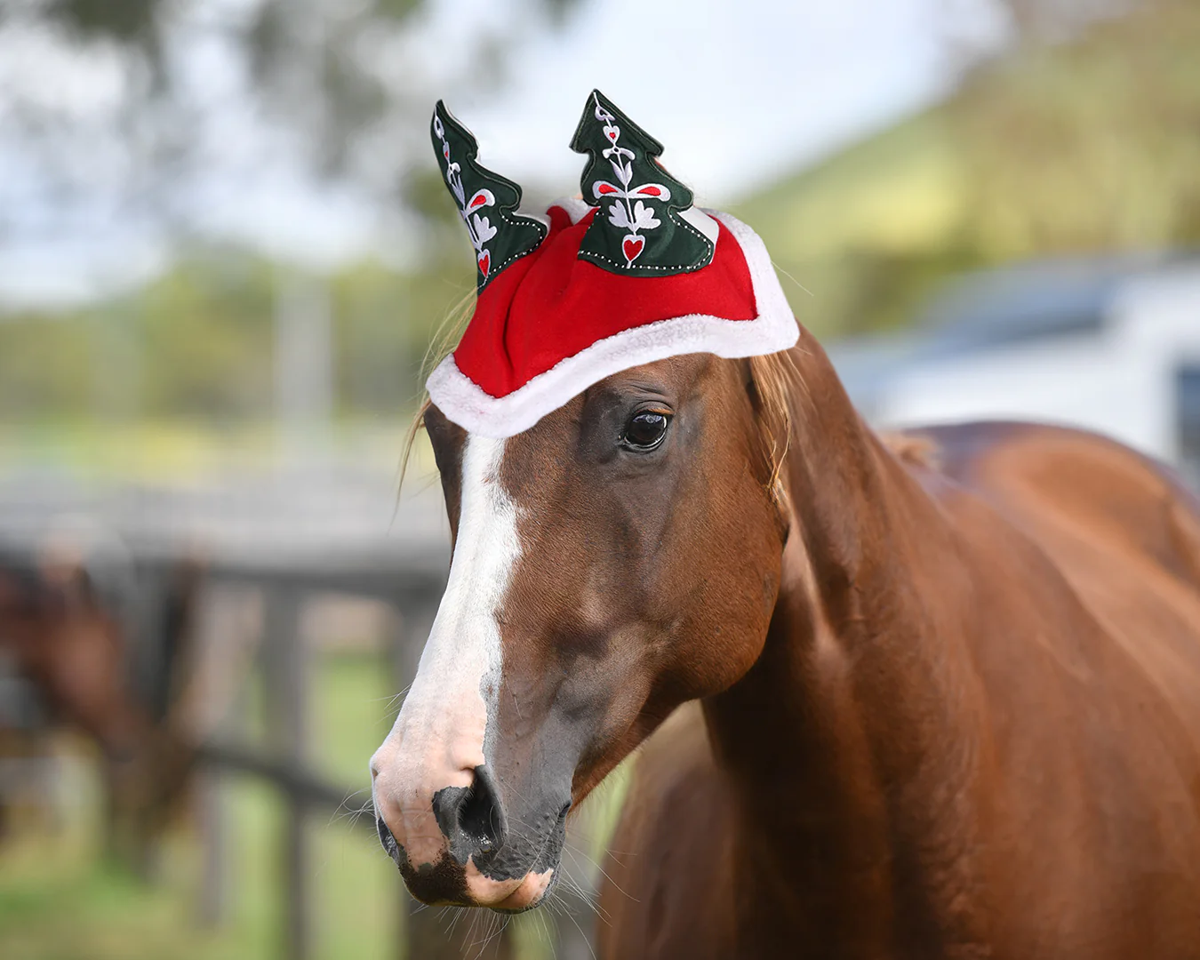 STC Christmas Horse Cap With Christmas Tree Ears - Image 4