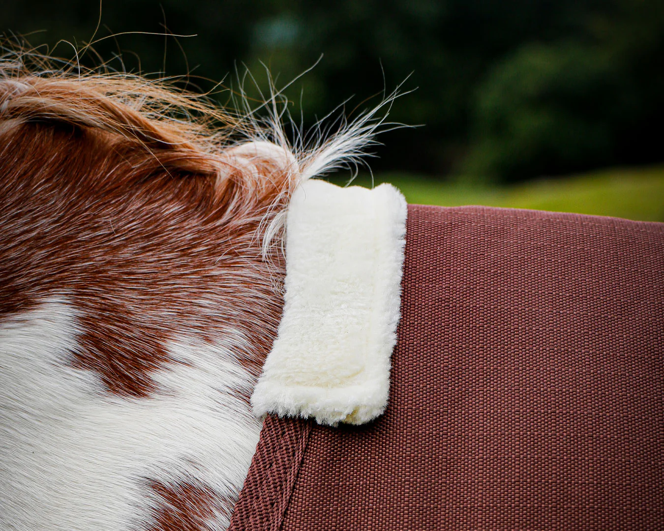 Conrad 1200D Horse Rug - Chocolate & Lilac - Image 4