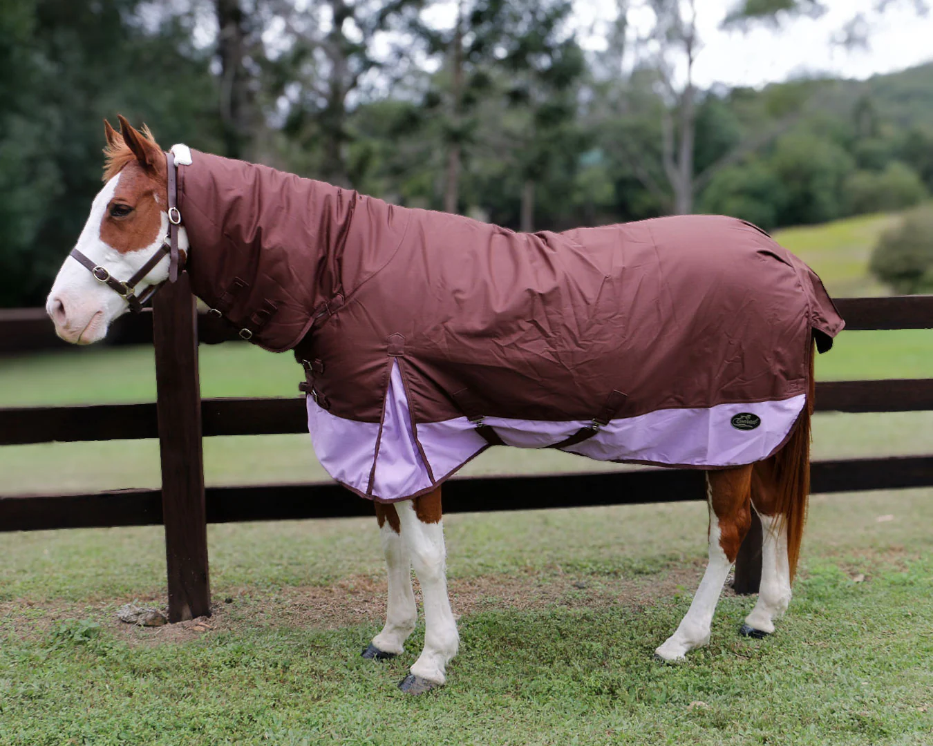 Conrad 1200D Horse Rug Combo - Chocolate & Lilac