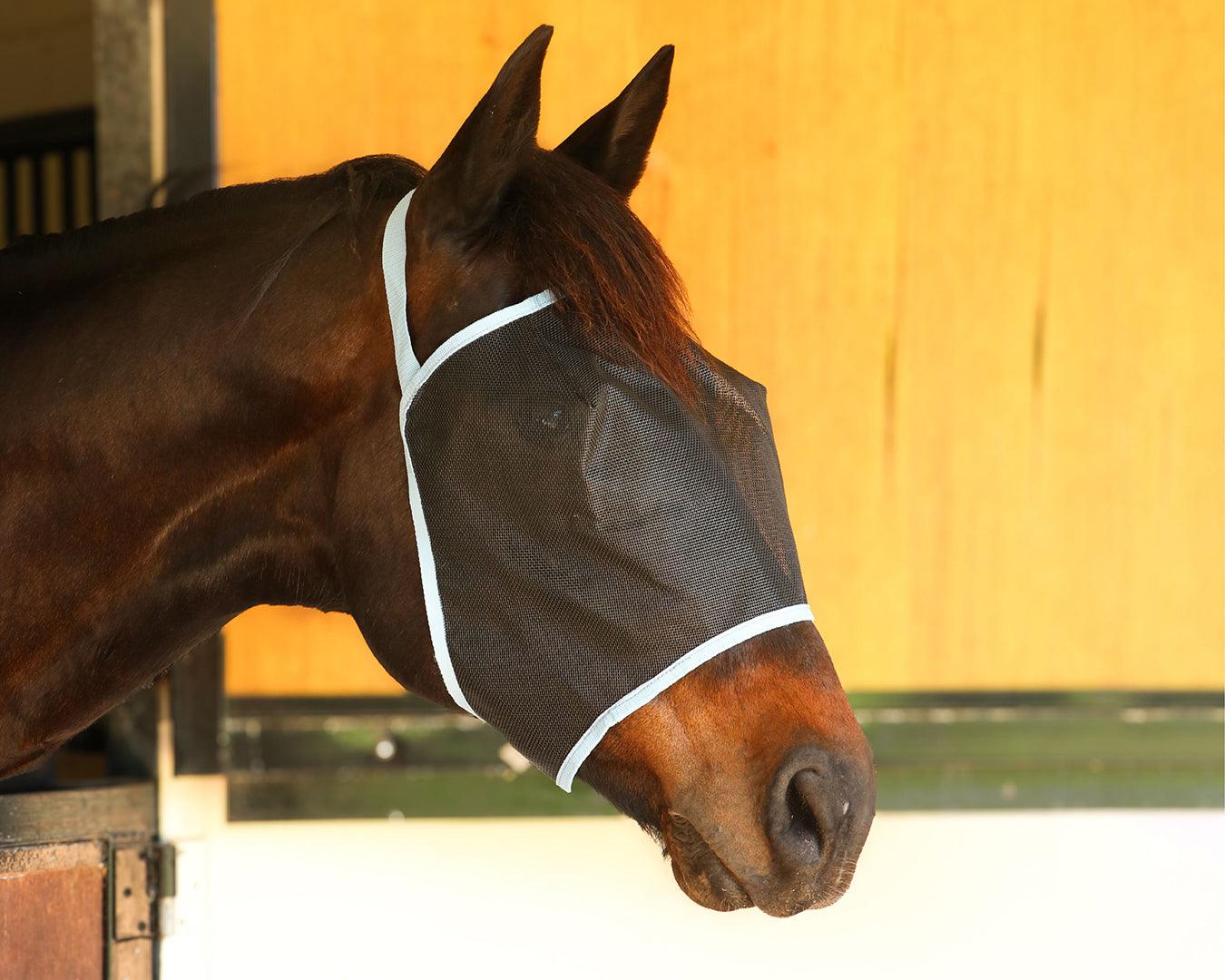 Conrad Everyday Black Mesh Fly Mask