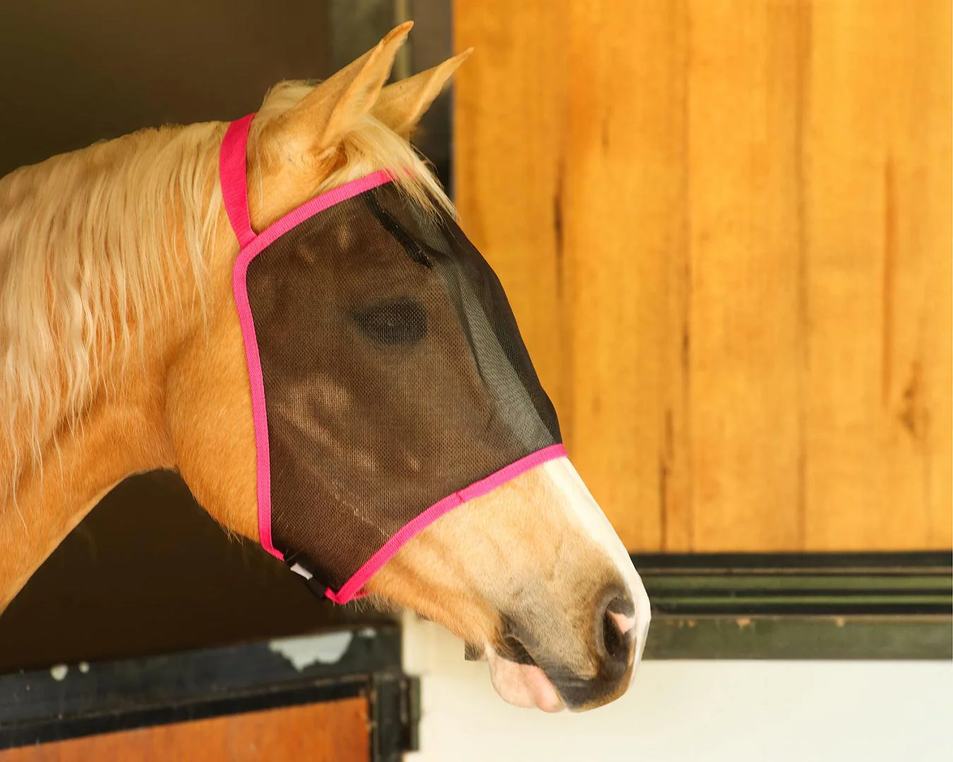 Conrad Everyday Black Mesh Fly Mask - Image 2
