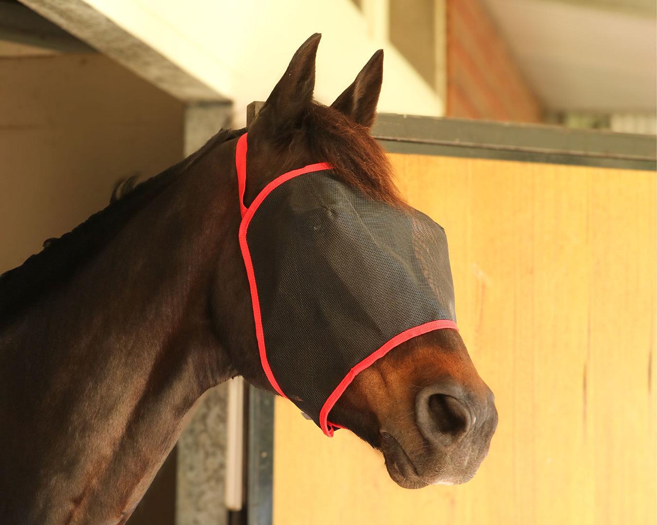 Conrad Everyday Black Mesh Fly Mask - Image 3