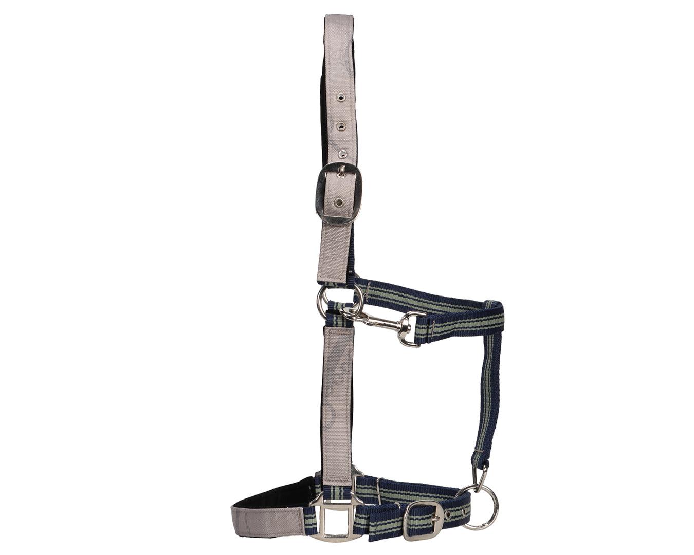 Conrad Halter & Lead Set - Bit Design - Image 2