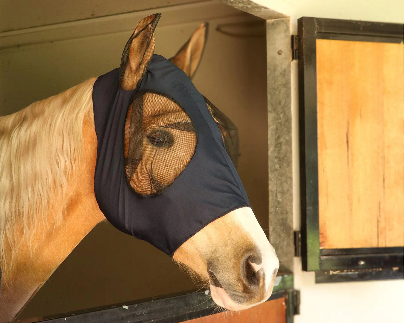 Conrad Lycra Fly Mask with Ears - Image 2