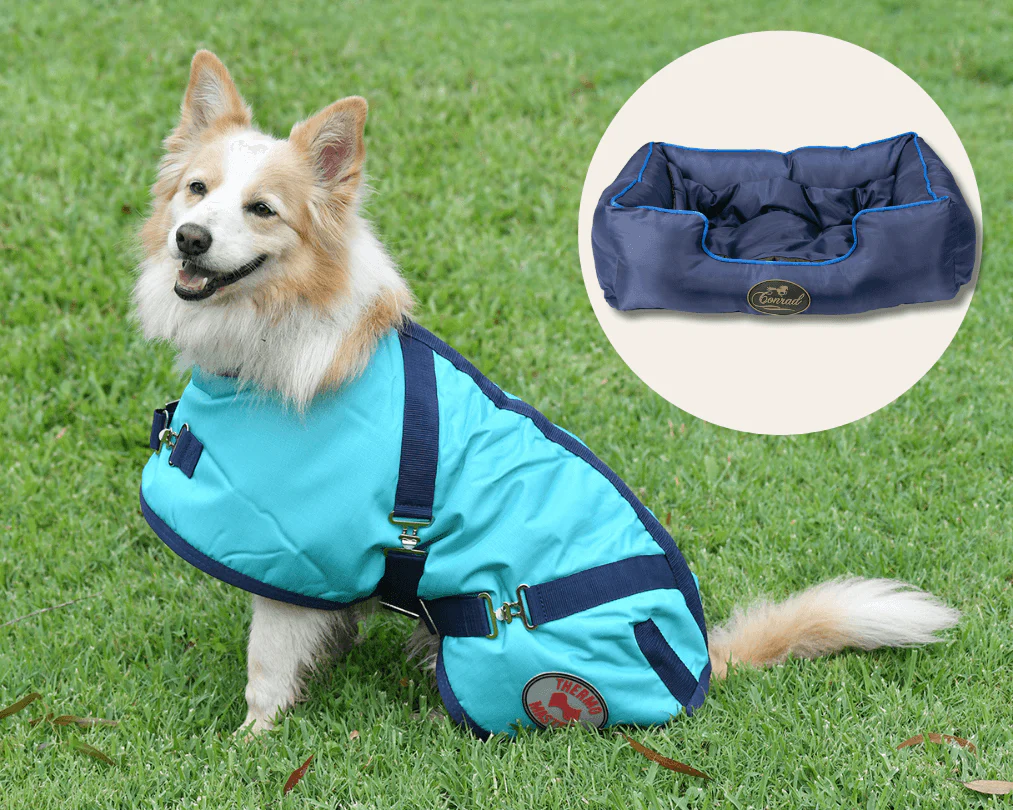 Dog Coat - Navy/Teal  & Bed Bundle