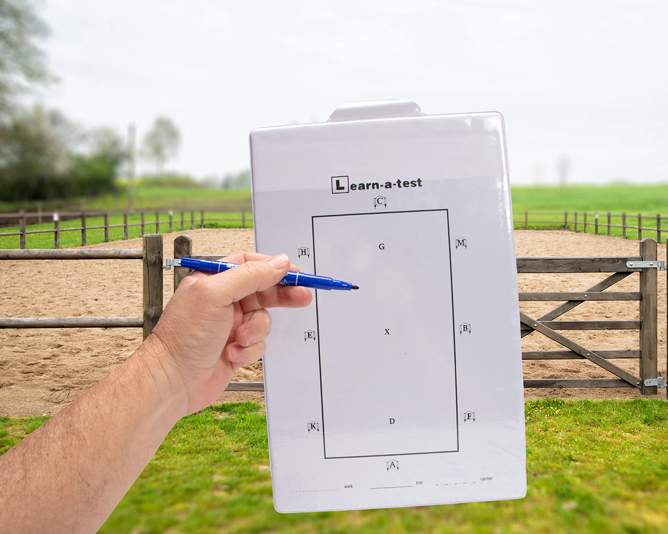 STC Dressage Test Board