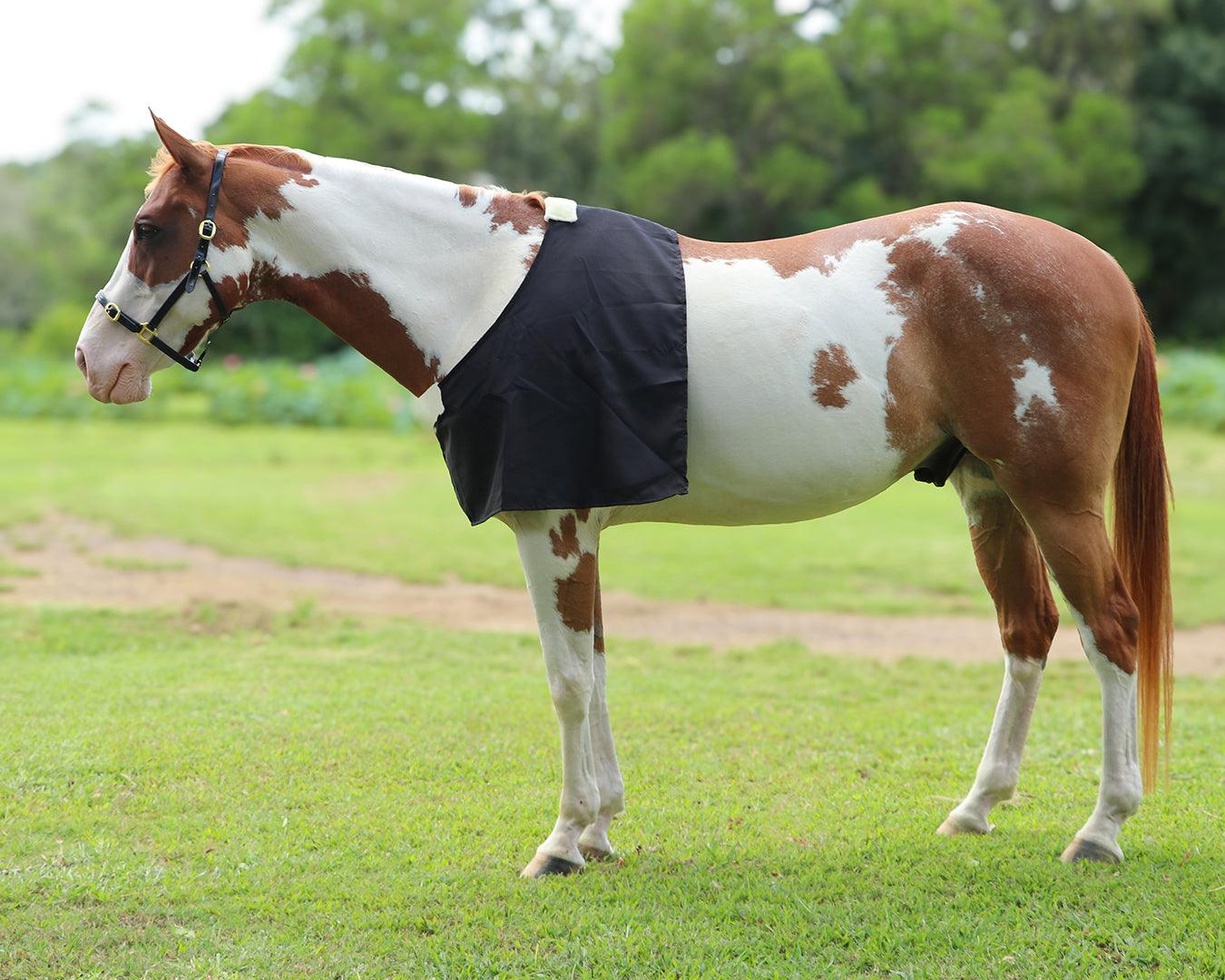 Cotton Drill Rug Bib