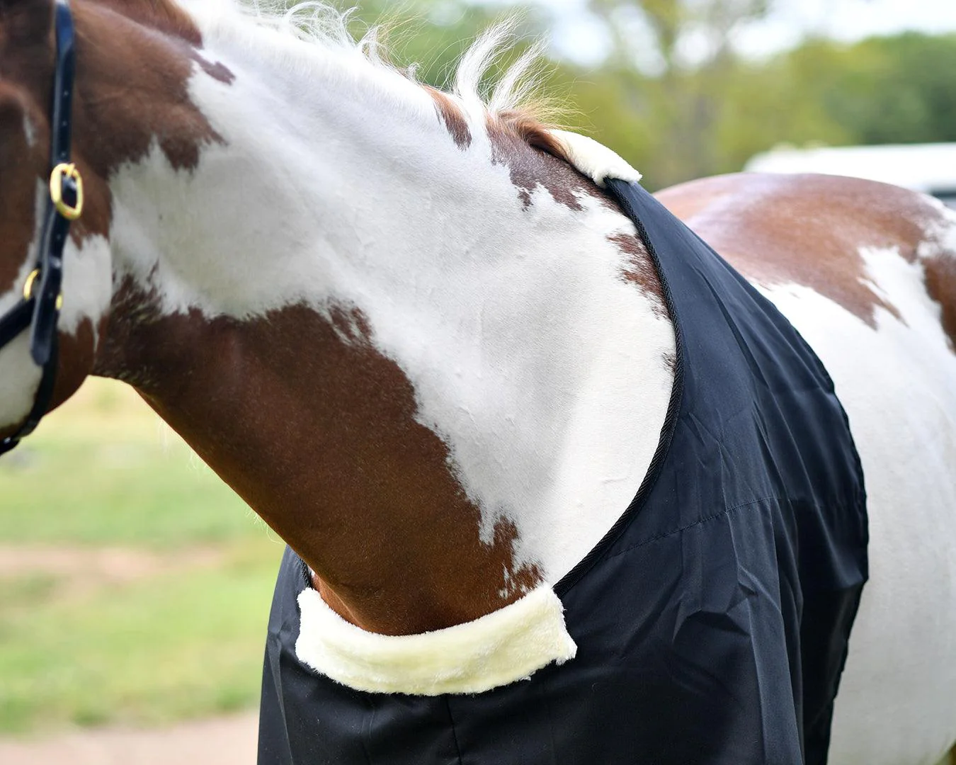 Cotton Drill Rug Bib - Image 3