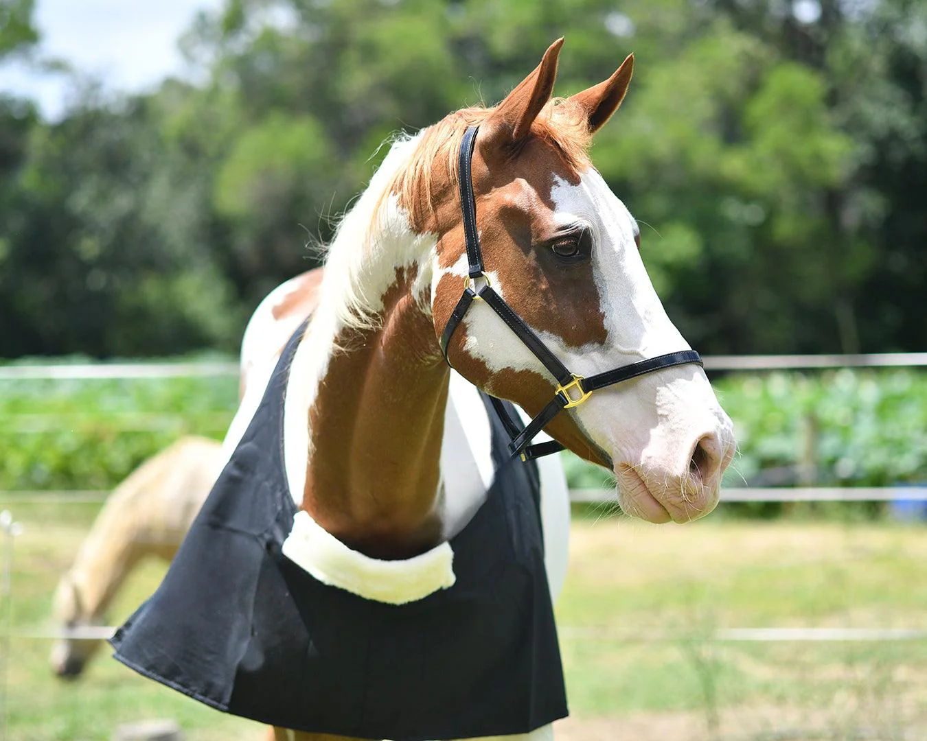 Cotton Drill Rug Bib - Image 4