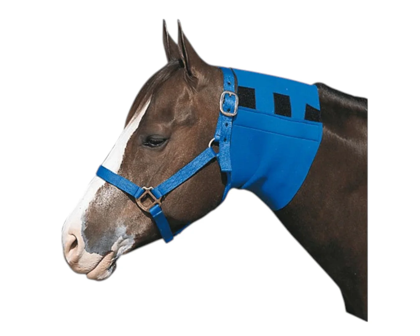 EQUI-PRENE 10" Jowl Sweat