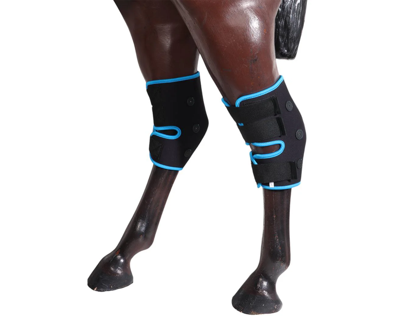 Equi-Prene Magnetic Hock Wrap - Image 4