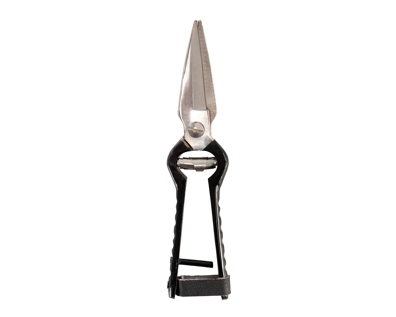 STC Footrot Shears - Image 2
