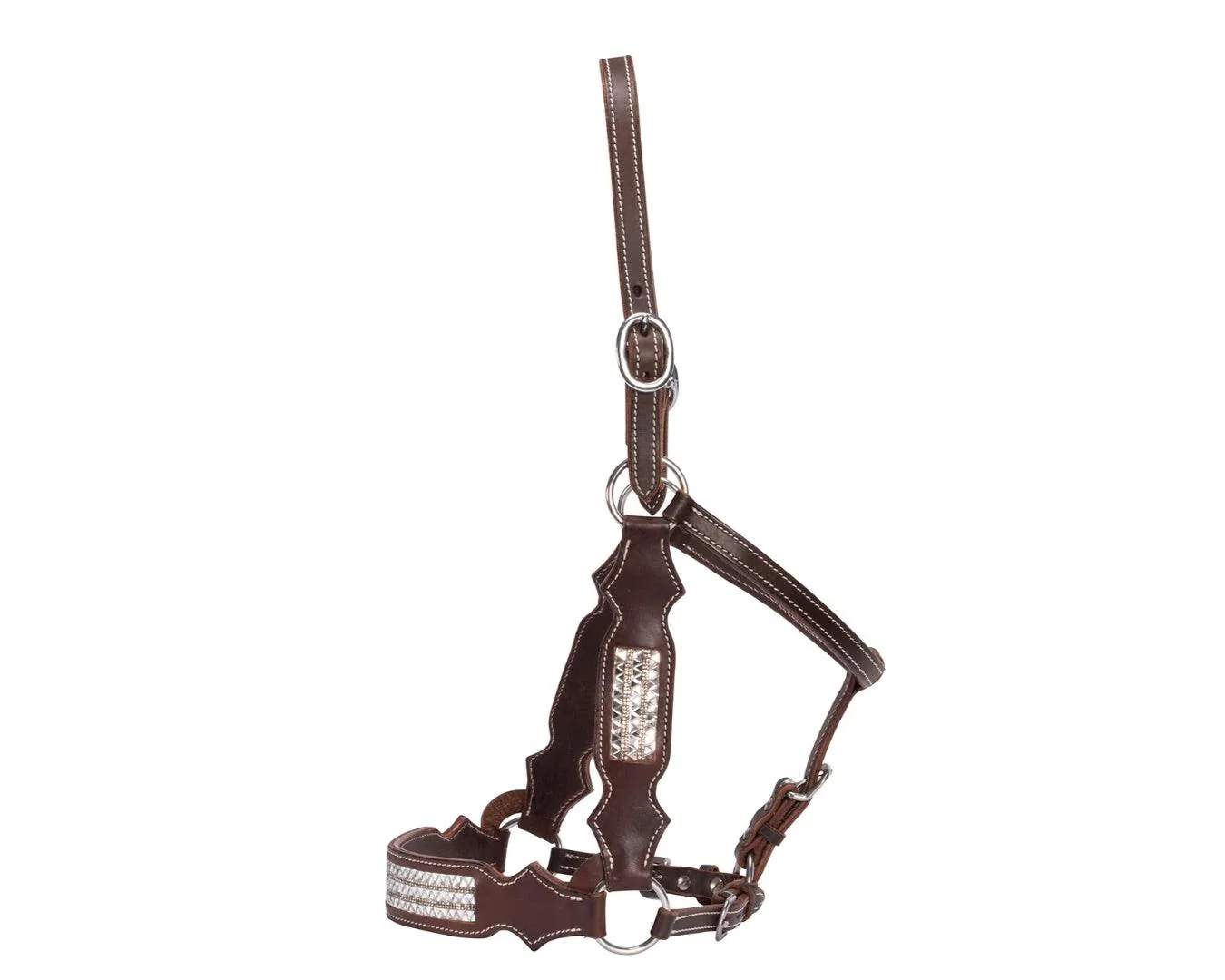 Fort Worth Dakota Leather Halter With Bling - Image 5