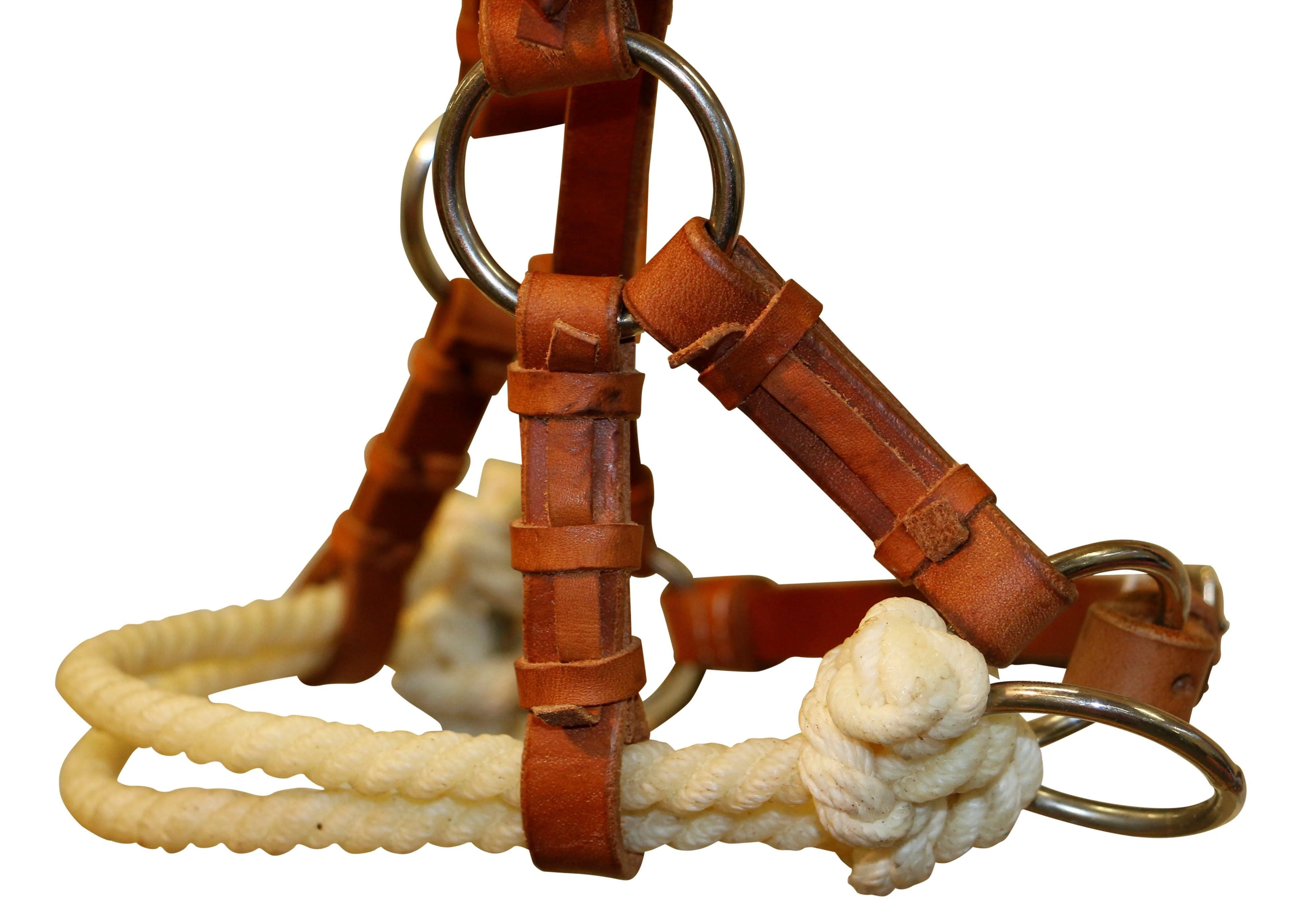 Fort Worth Double Rope Sidepull - Harness - Image 2