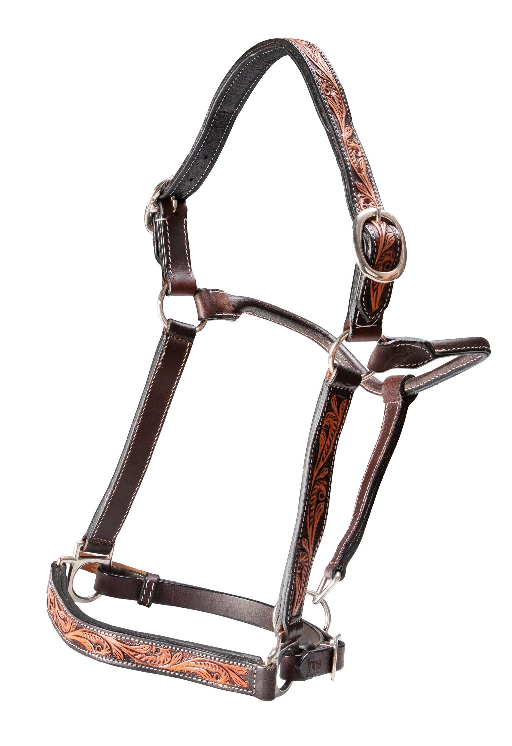 Fort Worth Leather Halter with Tooled Pattern - Image 2