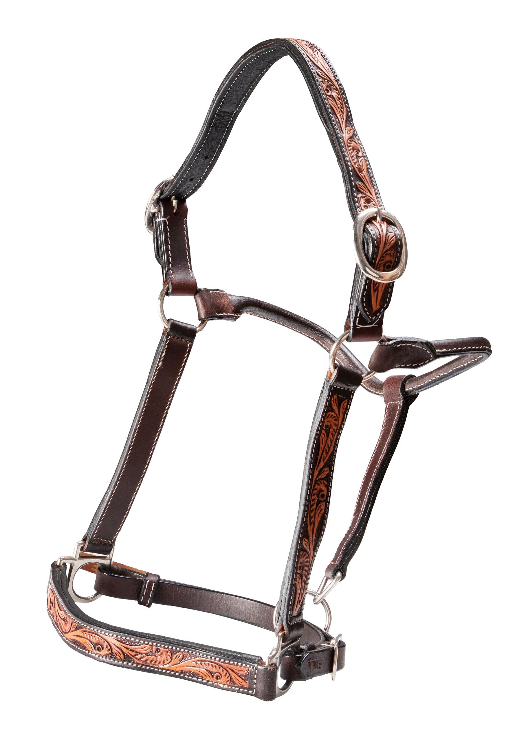 Fort Worth Leather Halter with Tooled Pattern - Image 4