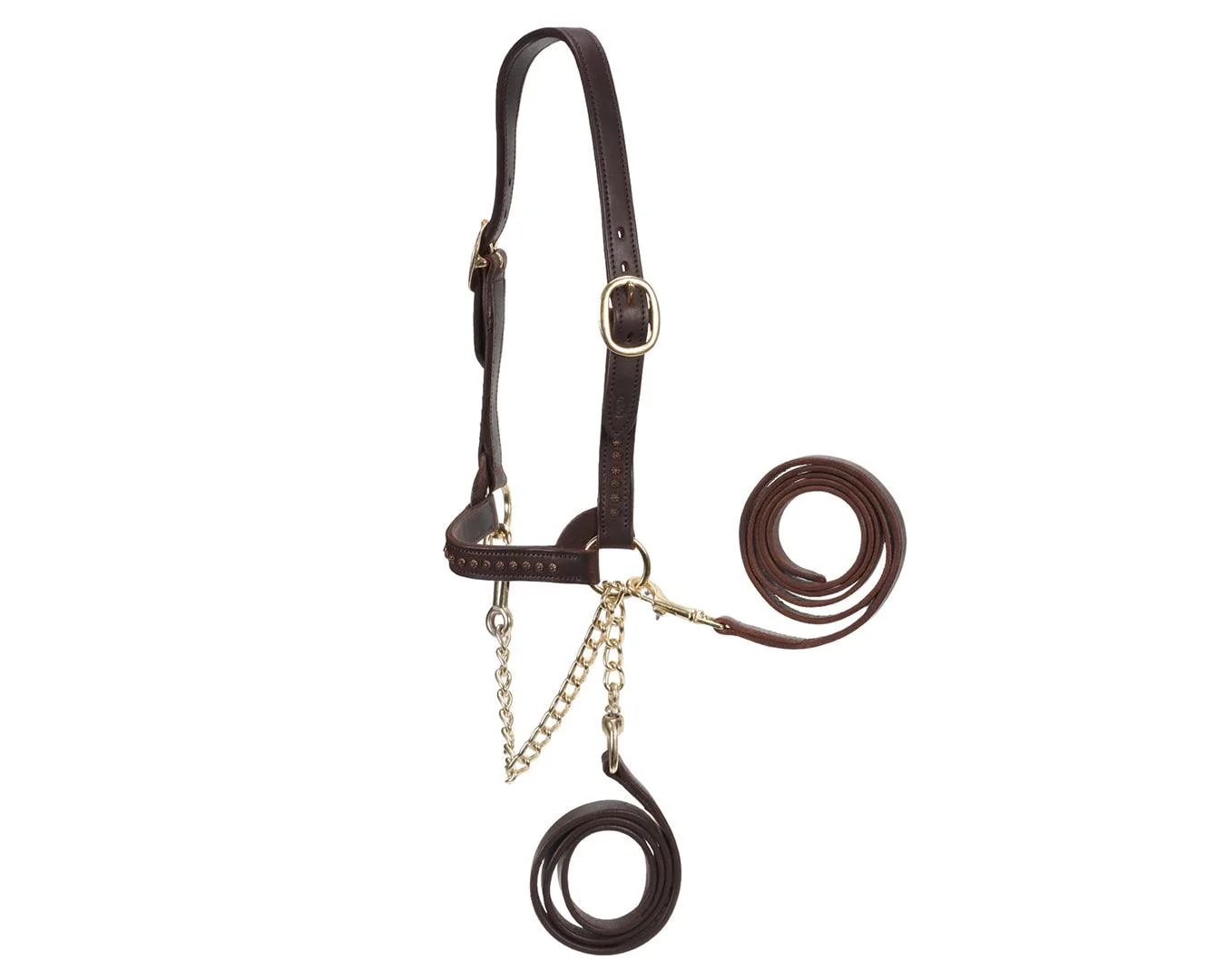 Fort Worth Show Cattle Halter - Brown w/Dots