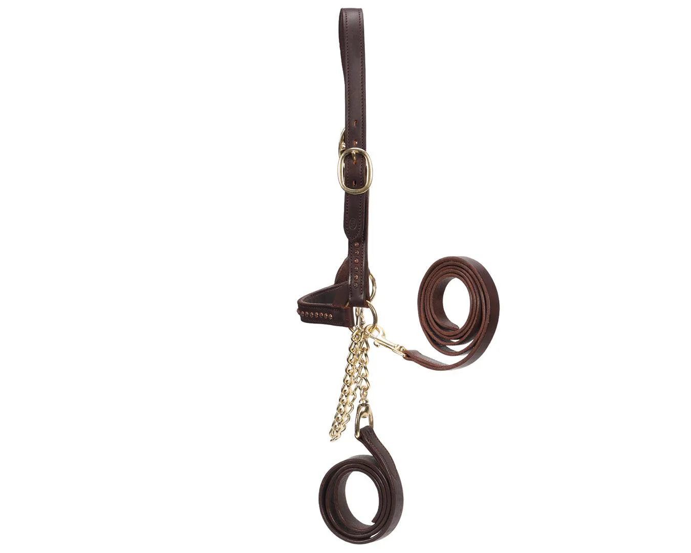 Fort Worth Show Cattle Halter - Brown w/Dots - Image 2