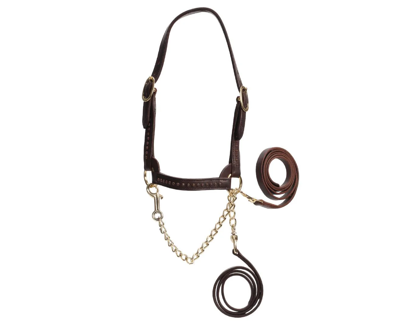 Fort Worth Show Cattle Halter - Brown w/Dots - Image 3