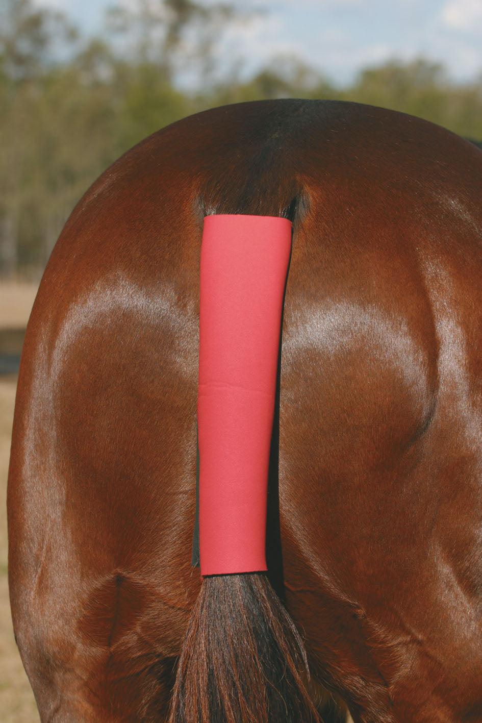 GG Australia Neoprene Tail Wrap - Image 3