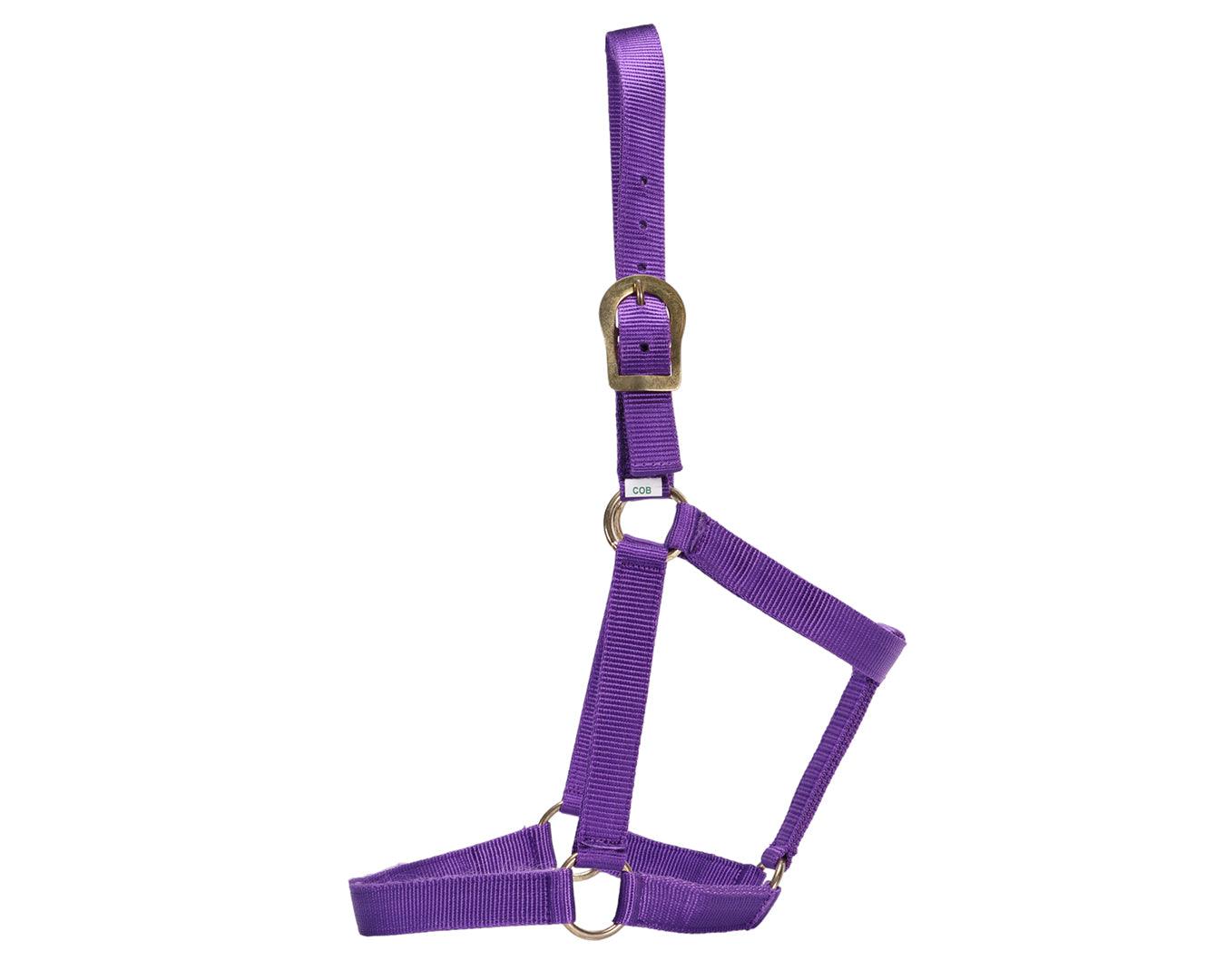 GG Australia Stable Halter - Image 12