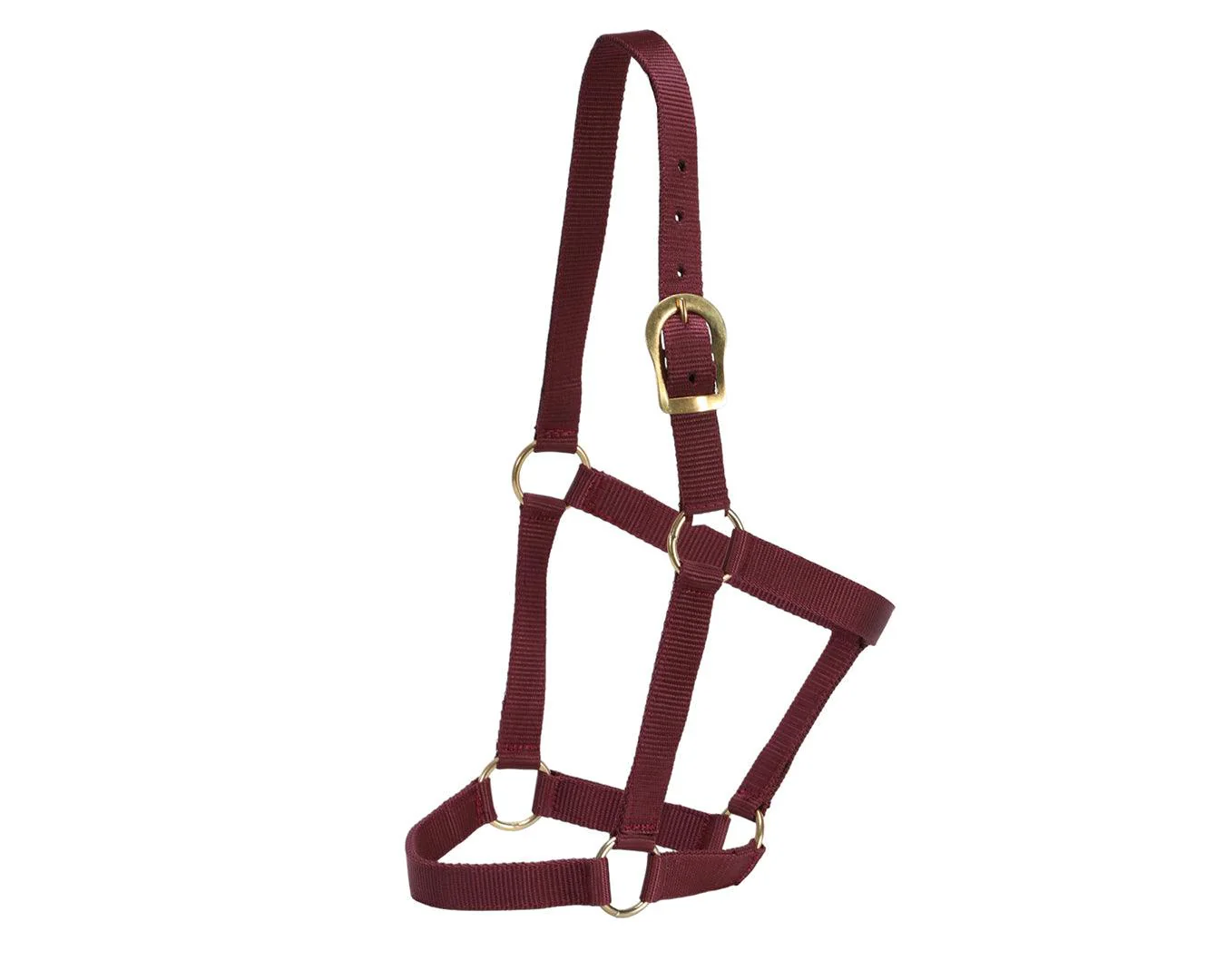 GG Australia Stable Halter - Image 4