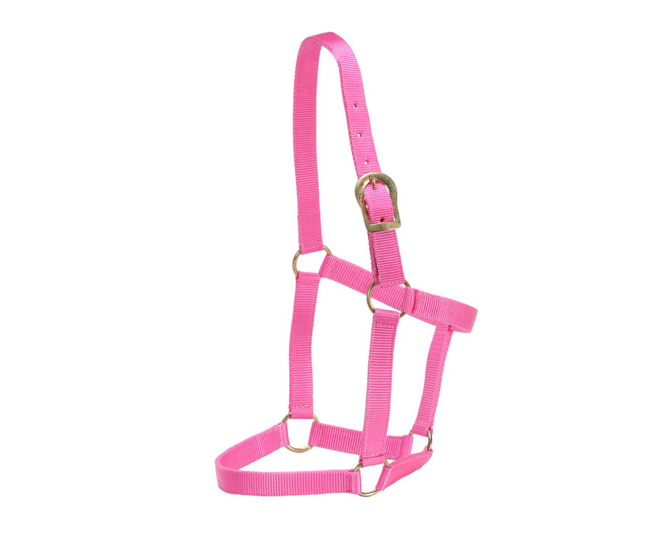 GG Australia Stable Halter - Image 7