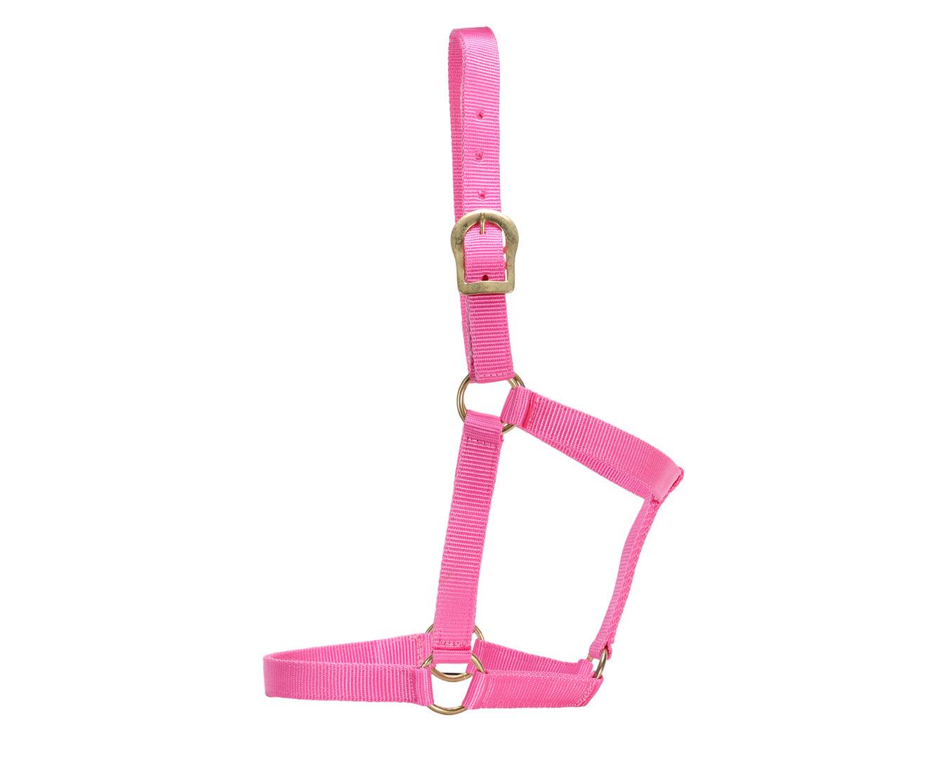GG Australia Stable Halter - Image 9