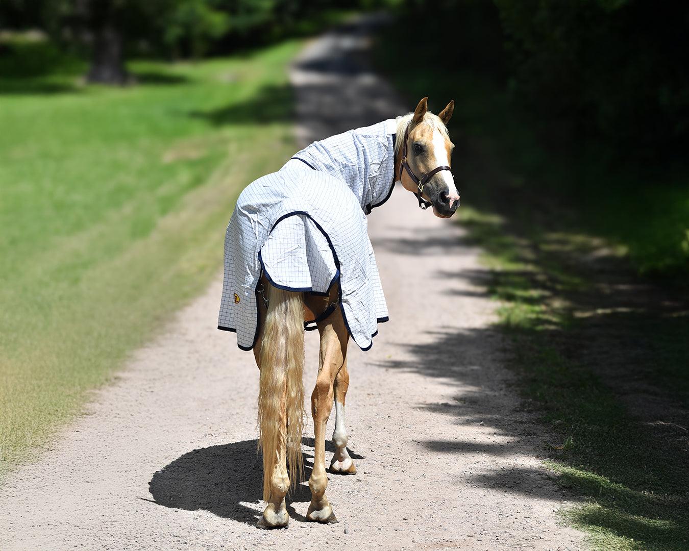 GG Australia Tear-Stop Horse Rug Combo - White/Navy - Image 2