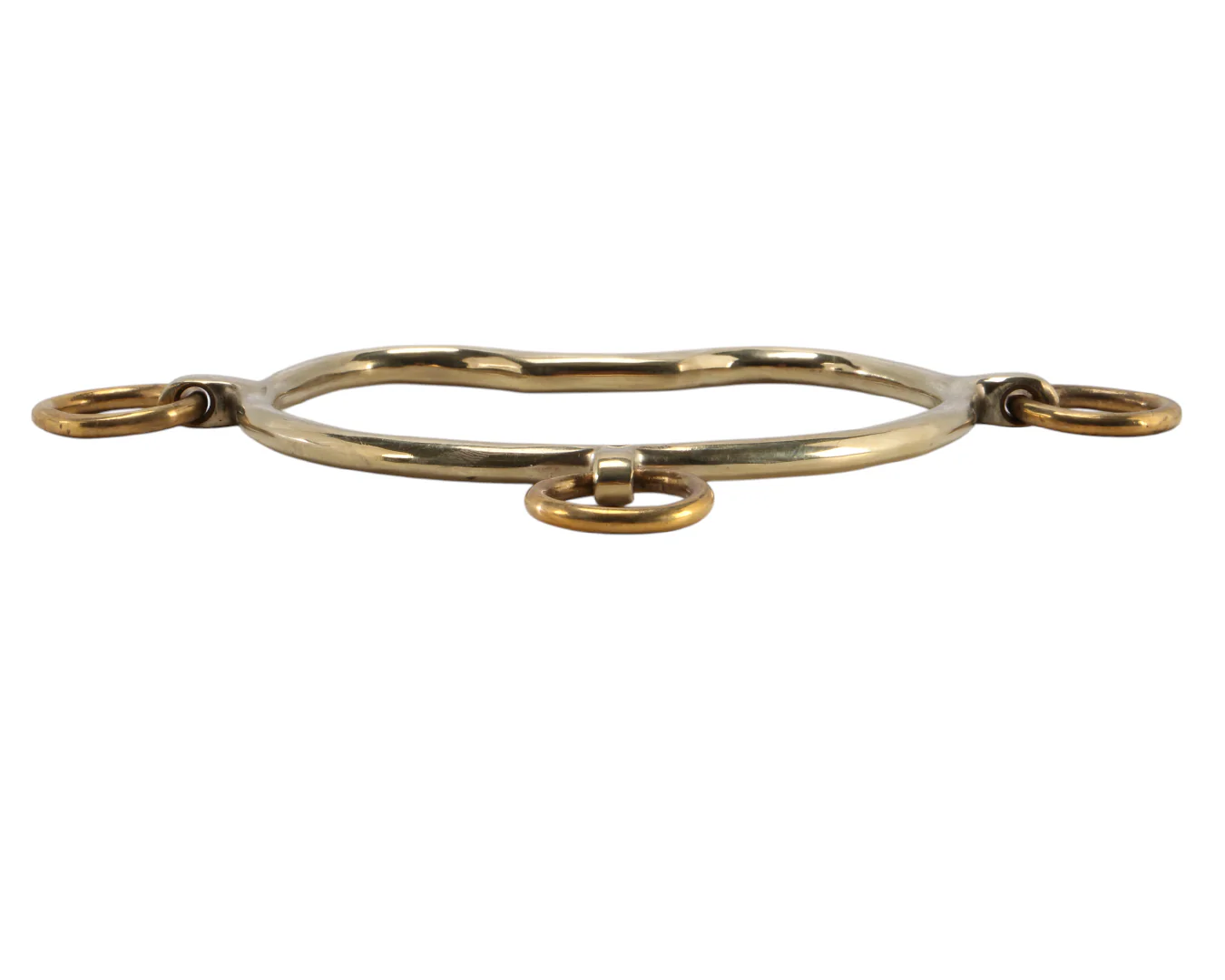 Gold Medal Anti-Rear Bit with Port Mouth - Image 3