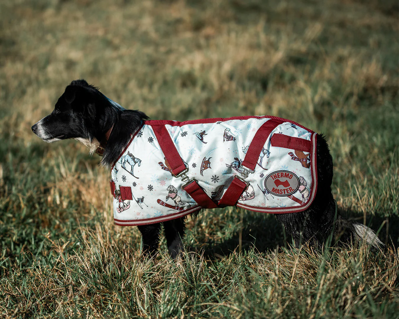 Thermo Master Supreme Dog Coat- Ski Slopes - Image 2