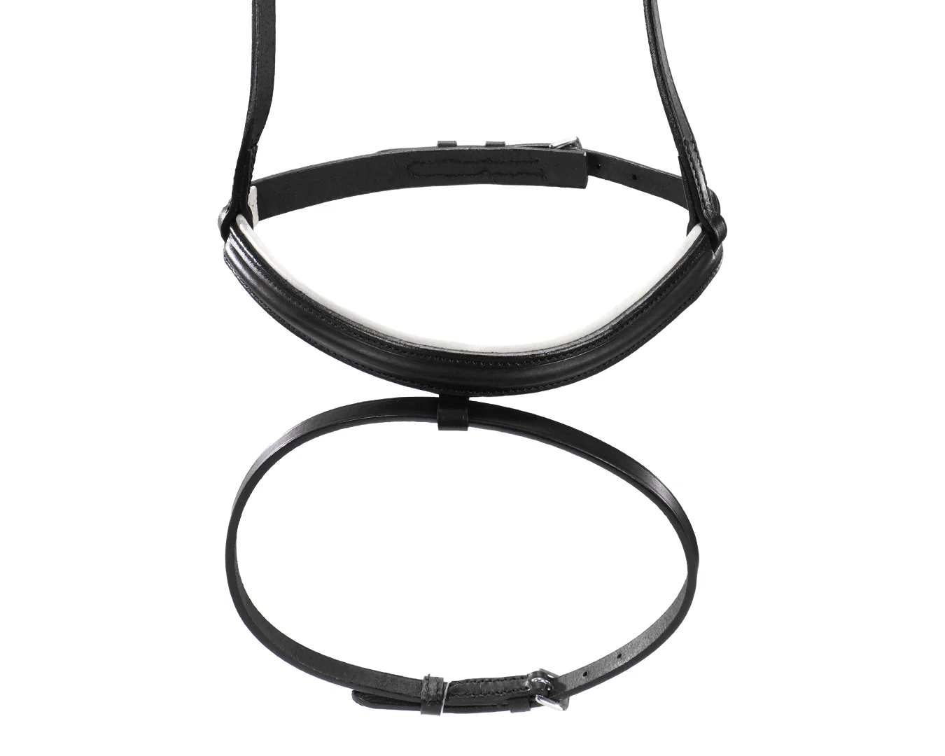 Hanoverian Noseband - Image 4