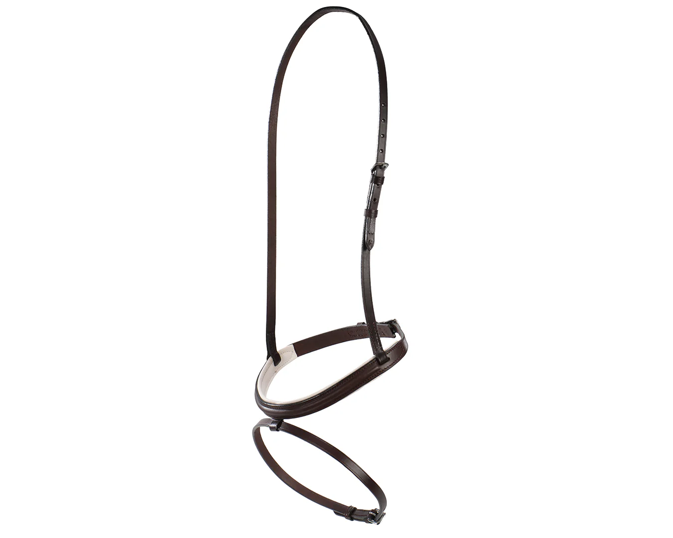 Hanoverian Noseband - Image 5