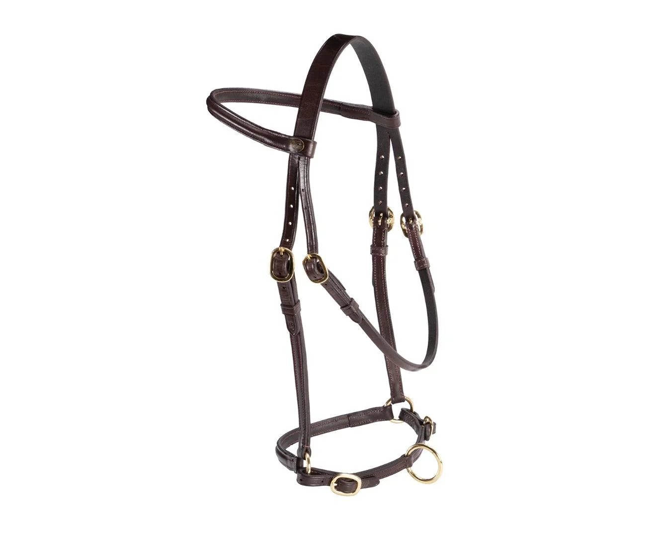 Hansome In-Hand Halter - Image 3