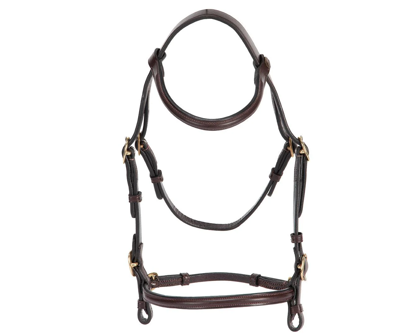 Hansome In-Hand Show Bridle - Image 3