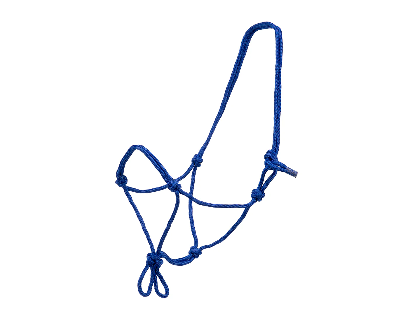 Happy Horse Knotted Rope Halter - Blue