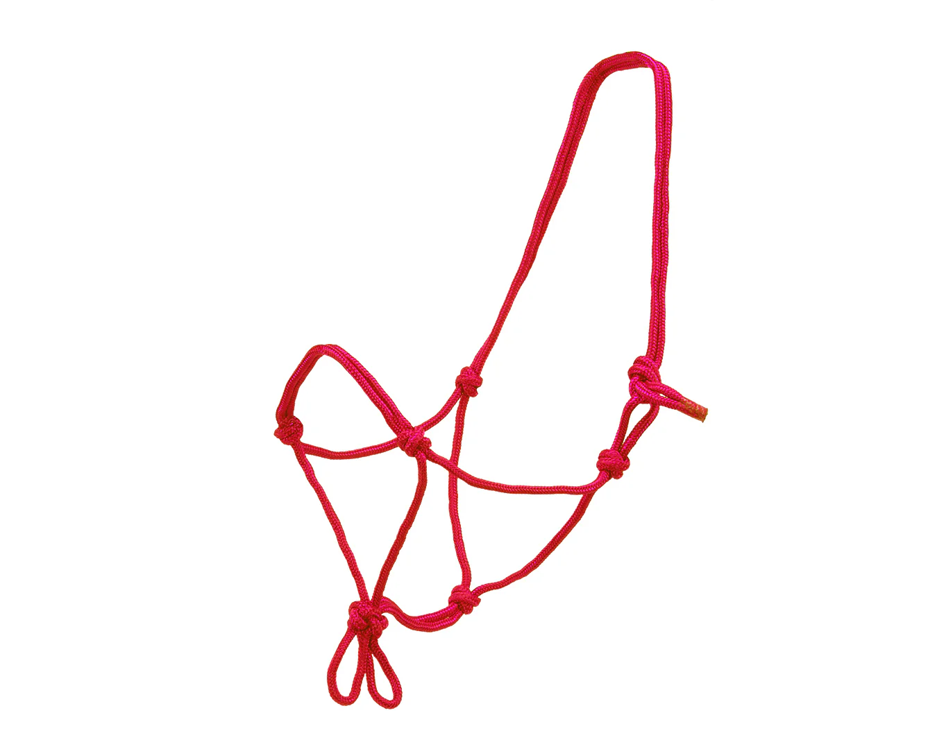 Happy Horse Knotted Rope Halter - Red