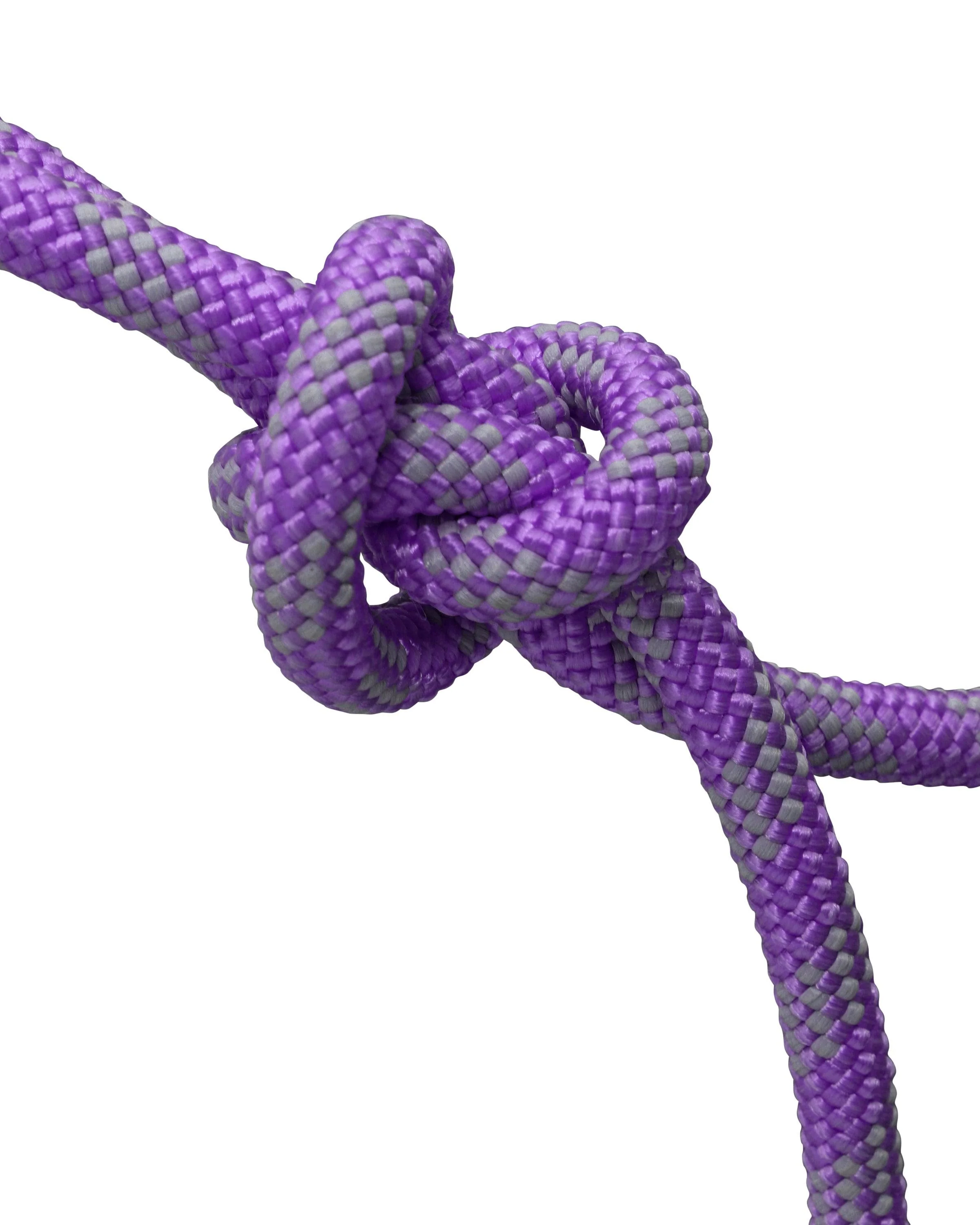 Fort Worth Hard Core Rope Halter - Image 7