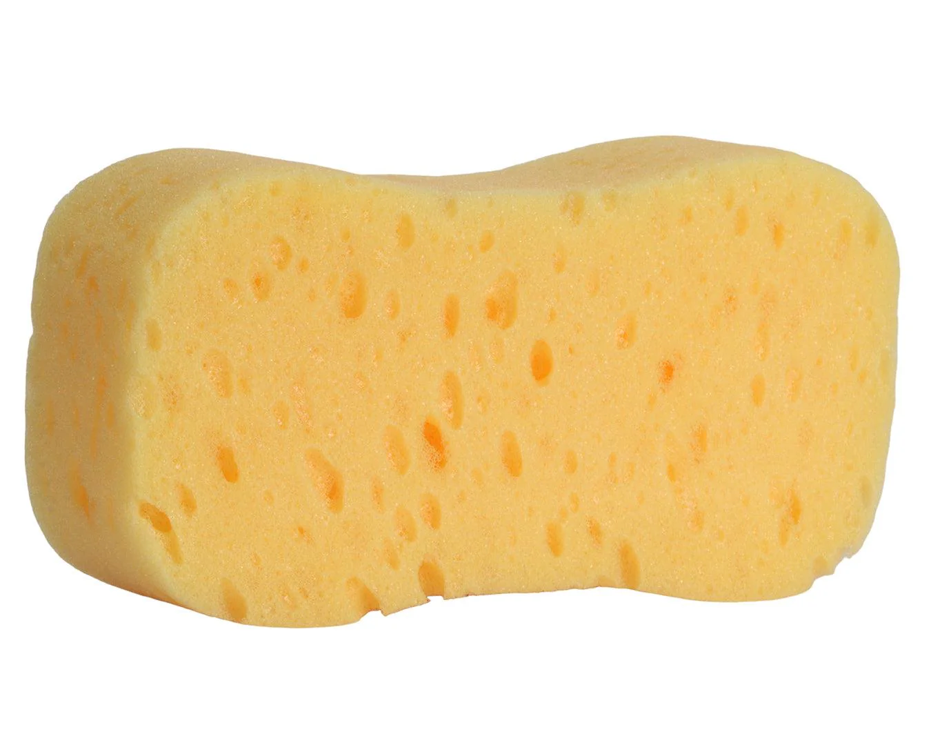 Carr & Day & Martin Horse Care Sponge - Image 2