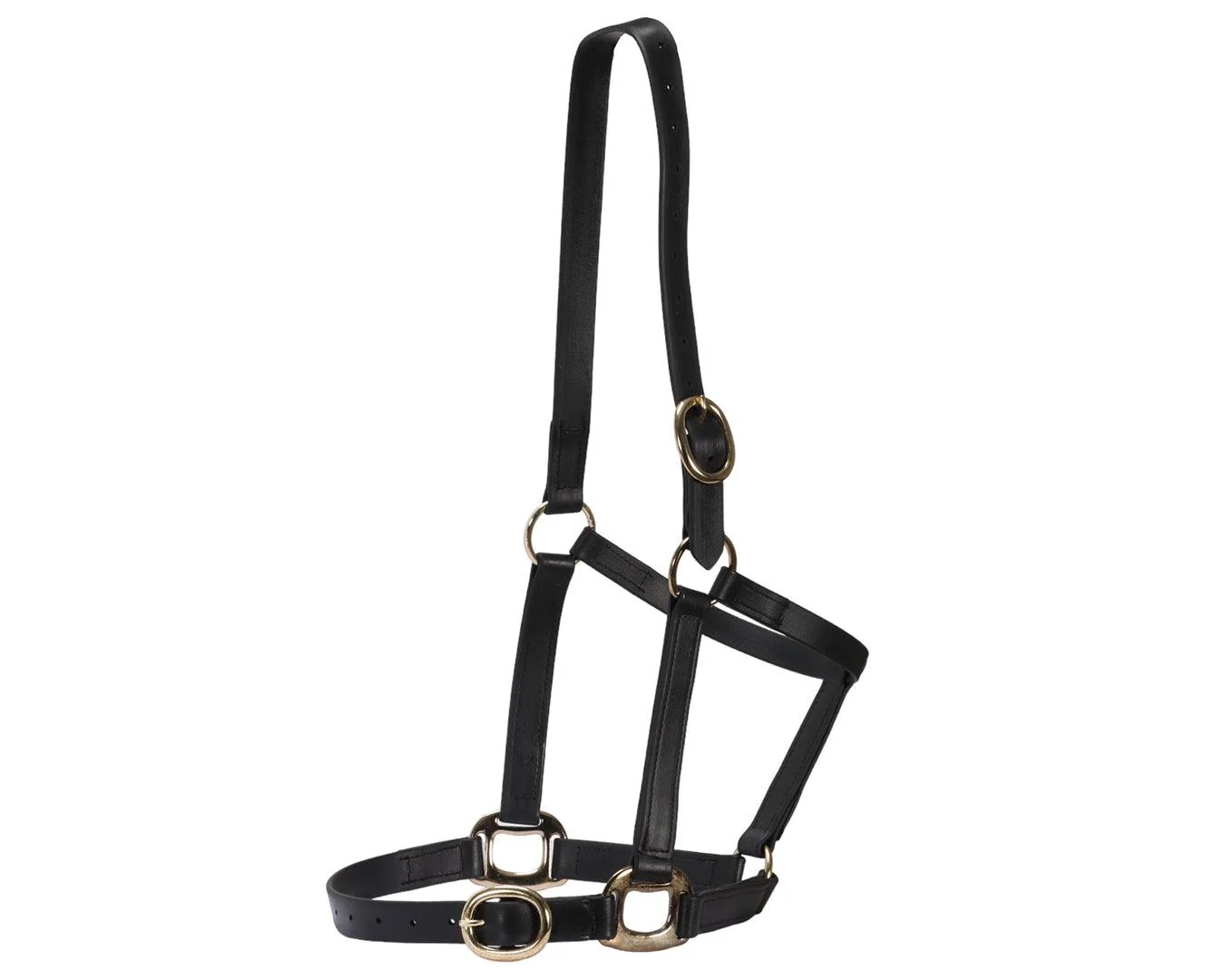 Horse Sense 1" PN Halter Brass - Image 11