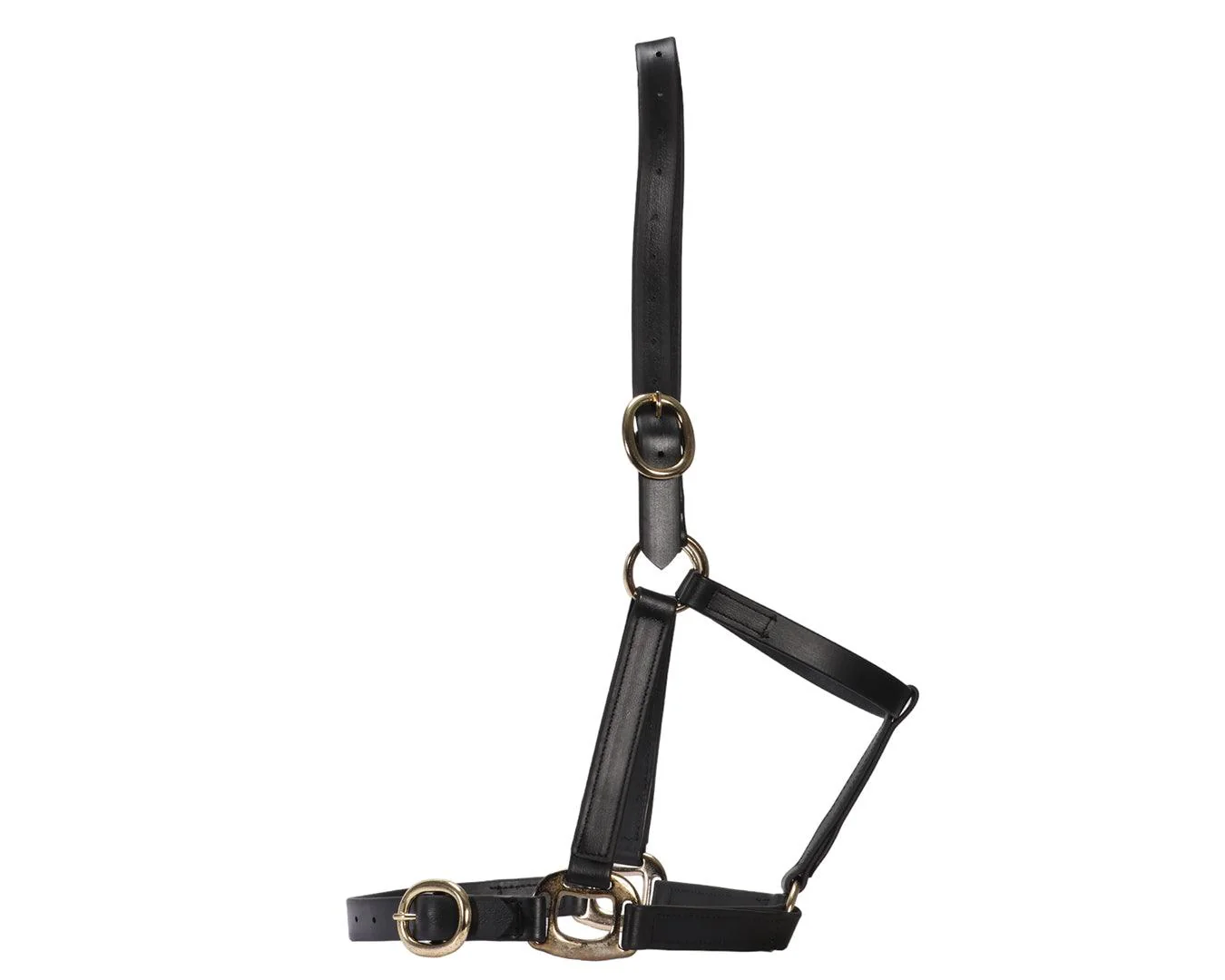 Horse Sense 1" PN Halter Brass - Image 13